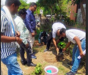  कैलाश नगर विद्युत परिसर में ईडी श्री शिरीष सेलट ने अधिकारियों के साथ वृक्षारोपण कर लिया सुरक्षा का संकल्प