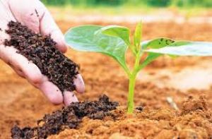  जैविक खेती को बढ़ावा देने 14 जून को बोडराबांधा में जिला स्तरीय कृषि मेला