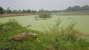 आमासिवनी बस्ती में जल भराव की  समस्या , निगम ने की तत्काल पहल