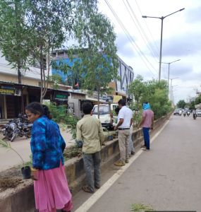 भिलाई शहर की सुंदरता बनाये रखने वृक्षारोपण अभियान शुरू भिलाई शहर की सुंदरता बनाये रखने वृक्षारोपण अभियान शुरू