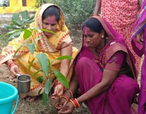 एक पेड़ माँ के नाम अभियान के तहत सभी शासकीय कार्यालयों में किया गया सघन पौधरोपण एक पेड़ माँ के नाम अभियान के तहत सभी शासकीय कार्यालयों में किया गया सघन पौधरोपण