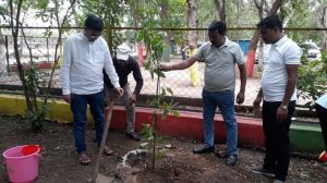 योग दिवस के अवसर पर योग उद्यान नेहरू नगर में पौधारोपण योग दिवस के अवसर पर योग उद्यान नेहरू नगर में पौधारोपण