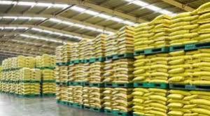 रायपुर जिले में रासायनिक उर्वरकों का पर्याप्त भंडारण