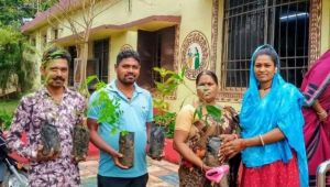 ग्रीन पालना अभियान: नए जीवन के साथ हरियाली की शुरुआत