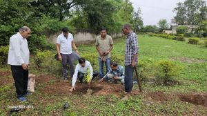  सीसल कृषि प्रक्षेत्र में किया गया फलदार पौधों का रोपण