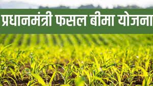  प्रधानमंत्री फसल बीमा योजना: खरीफ फसलों का मात्र 2 प्रतिशत प्रीमियम दर पर कृषक करा सकेंगे फसल बीमा