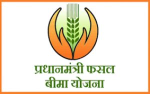  प्रधानमंत्री फसल बीमा योजनांतर्गत खरीफ फसलों का बीमा 31 जुलाई तक