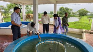 कलेक्टर ने मत्स्य प्रक्षेत्र देवरी का किया निरीक्षण कलेक्टर ने मत्स्य प्रक्षेत्र देवरी का किया निरीक्षण