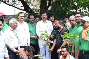 नगर निगम द्वारा गड्ढों, फेंसिंग व्यवस्था सहित कटहल, अन्य प्रजातियों के 1500 पौधोँ का रोपण नगर निगम द्वारा गड्ढों, फेंसिंग व्यवस्था सहित कटहल, अन्य प्रजातियों के 1500 पौधोँ का रोपण