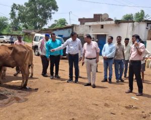 नेशनल गोट-डे के अवसर पर आयोजित कार्यशाला में कलेक्टर हुए शामिल, कहा बकतरा को पशुपालन हब के रूप में करें विकसित नेशनल गोट-डे के अवसर पर आयोजित कार्यशाला में कलेक्टर हुए शामिल, कहा बकतरा को पशुपालन हब के रूप में करें विकसित