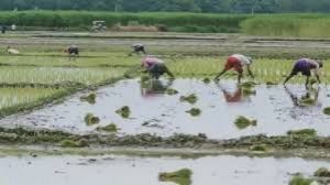 कृषक उन्नति योजना का लाभ लेने हेतु एकीकृत किसान पोर्टल में 31 अक्टूबर 2025 के पूर्व पंजीयन अनिवार्य कृषक उन्नति योजना का लाभ लेने हेतु एकीकृत किसान पोर्टल में 31 अक्टूबर 2025 के पूर्व पंजीयन अनिवार्य