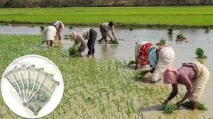   दलहन, तिलहन, मक्का, कोदो, कुटकी, रागी एवं कपास की फसल लेने वालों को भी मिलेगा कृषक उन्नति योजना का लाभ