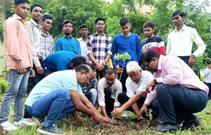 महाराष्&zwj;ट्र मंडल का पौधरोपण अभियान अगले हफ्ते से