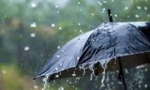 जिले में अब तक 343.3 मि.मी. औसत वर्षा दर्ज