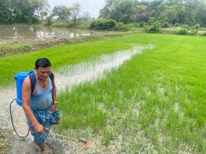 खाद-बीज की उपलब्धता से खेती-किसानी का काम जोरों पर
