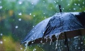 जिले में अब तक 373.3 मि.मी. औसत वर्षा दर्ज जिले में अब तक 373.3 मि.मी. औसत वर्षा दर्ज