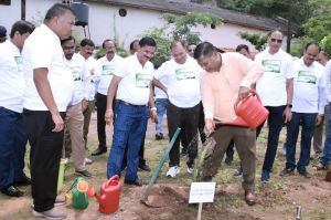 गुढ़ियारी कैंपस को हराभरा बनाने पॉवर कंपनी ने लगाए पौधे गुढ़ियारी कैंपस को हराभरा बनाने पॉवर कंपनी ने लगाए पौधे