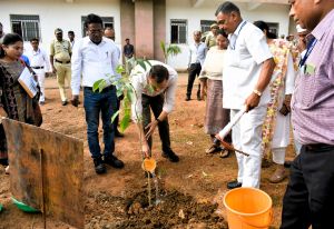 संभाग आयुक्त सत्यनारायण राठौर ने संयुक्त जिला कार्यालय परिसर में रोपा रूद्राक्ष का पौधा संभाग आयुक्त सत्यनारायण राठौर ने संयुक्त जिला कार्यालय परिसर में रोपा रूद्राक्ष का पौधा