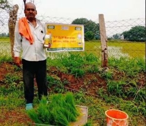 रायपुर जिले में नैनो डीएपी का भंडारण और वितरण सुचारु जारी रायपुर जिले में नैनो डीएपी का भंडारण और वितरण सुचारु जारी