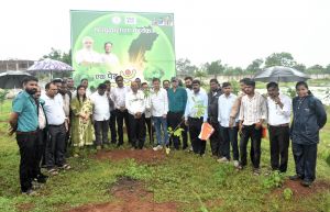 सघन वृक्षारोपण अभियान के अंतर्गत जिले के मीडिया प्रतिनिधियों ने किया पौधरोपण सघन वृक्षारोपण अभियान के अंतर्गत जिले के मीडिया प्रतिनिधियों ने किया पौधरोपण