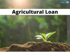 खरीफ सीजन  : प्रदेश के किसानों को 5751 करोड़ रूपए का अल्पकालीन कृषि ऋण वितरित