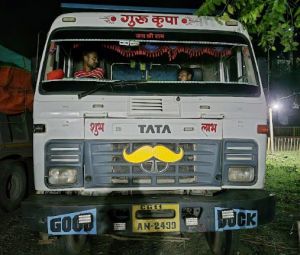 बिलासपुर जिले में अवैध खनिज परिवहन पर कार्रवाई तेज, तीन हाइवा वाहन जप्त