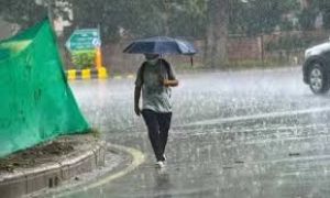 जिले में अब तक 668.5 मि.मी. बारिश दर्ज