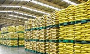  राजनांदगांव जिले में पर्याप्त मात्रा में खाद-बीज का भंडारण