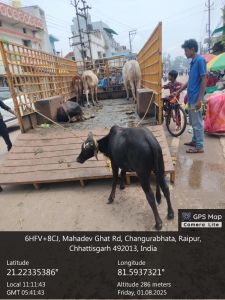  डेयरी संचालक अरविन्द सिंह ठाकुर पर एफआईआर दर्ज करने दिया आवेदन 