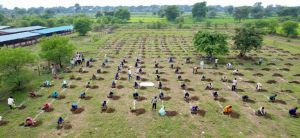 "एक पेड़ मां के नाम" अभियान के तहत ग्राम पंचायत कुकरा और रीवा में वृहद वृक्षारोपण, महिलाओं को मिला रोजगार और आत्मनिर्भरता का नया मार्ग "एक पेड़ मां के नाम" अभियान के तहत ग्राम पंचायत कुकरा और रीवा में वृहद वृक्षारोपण, महिलाओं को मिला रोजगार और आत्मनिर्भरता का नया मार्ग