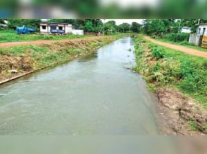 किसानों की मांग पर गंगरेल से सिंचाई पानी छोड़ा गया किसानों की मांग पर गंगरेल से सिंचाई पानी छोड़ा गया