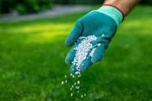 किसानों को उचित मूल्य पर उर्वरक उपलब्ध कराने हेतु प्रशासन सजग किसानों को उचित मूल्य पर उर्वरक उपलब्ध कराने हेतु प्रशासन सजग