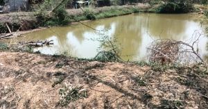 मनरेगा की डबरी से खेतों में आई हरियाली, किसानों के चेहरों पर मुस्कान मनरेगा की डबरी से खेतों में आई हरियाली, किसानों के चेहरों पर मुस्कान