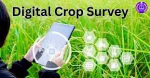  DCS सर्वे, राज्य में पचपेड़ी तहसील सबसे आगे