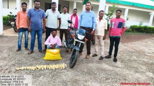 बांस करील के अवैध परिवहन पर कार्रवाई आरोपी गिरफ्तार बांस करील के अवैध परिवहन पर कार्रवाई आरोपी गिरफ्तार