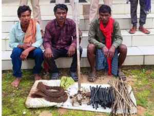 वन विभाग की बड़ी कार्रवाई, शिकार के पूर्व तीन शिकारी गिरफ्तार वन विभाग की बड़ी कार्रवाई, शिकार के पूर्व तीन शिकारी गिरफ्तार