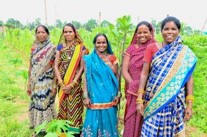 कमार दीदियों की ज़िंदगी में बिहान से जुड़कर आई खुशहाली कमार दीदियों की ज़िंदगी में बिहान से जुड़कर आई खुशहाली