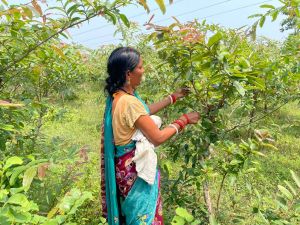 &ldquo;विजेता&rdquo; बनी मेहनत, तकनीक और आत्मनिर्भरता की मिसाल