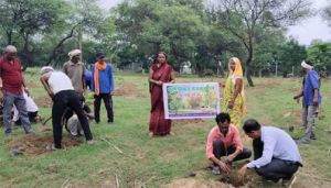  एक पेड़ माँ के नाम अभियान के तहत 54549 पौधों का रोपण