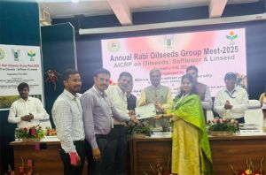 आईजीकेवी, रायपुर में एआईसीआरपी अलसी परियोजना को “सर्वश्रेष्ठ एआईसीआरपी केंद्र पुरस्कार” से सम्मानित किया गया आईजीकेवी, रायपुर में एआईसीआरपी अलसी परियोजना को “सर्वश्रेष्ठ एआईसीआरपी केंद्र पुरस्कार” से सम्मानित किया गया