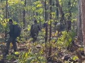 गरियाबंद में सुरक्षाबलों के साथ मुठभेड़ में 10 नक्सली मारे गए गरियाबंद में सुरक्षाबलों के साथ मुठभेड़ में 10 नक्सली मारे गए