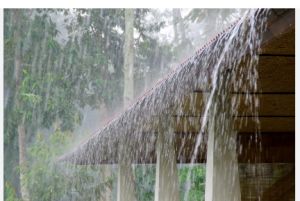   प्रदेश में अब तक 1138.9 मि.मी. औसत वर्षा दर्ज