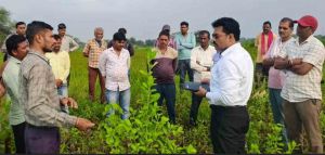 फसल बीमा योजना : किसानों को अधिक वर्षा से प्रभावित फसल की क्षतिपूर्ति के लिए मिलेगी राहत फसल बीमा योजना : किसानों को अधिक वर्षा से प्रभावित फसल की क्षतिपूर्ति के लिए मिलेगी राहत