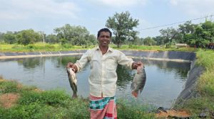 ग्रामीण अंचलों में मत्स्य पालन से आजीविका एवं आत्मनिर्भरता के खुल रहे नए अवसर ग्रामीण अंचलों में मत्स्य पालन से आजीविका एवं आत्मनिर्भरता के खुल रहे नए अवसर