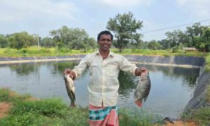 ग्रामीण अंचलों में मत्स्य पालन से आजीविका एवं आत्मनिर्भरता के खुल रहे नए अवसर ग्रामीण अंचलों में मत्स्य पालन से आजीविका एवं आत्मनिर्भरता के खुल रहे नए अवसर