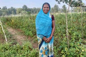  छत्तीसगढ की टमाटर &lsquo;महाराष्ट्र की रसोई&rsquo; तक पहुंची