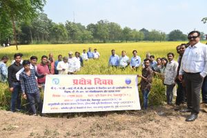  धान की उन्नत किस्म &lsquo;विक्रम&ndash;टी.सी.आर.&rsquo; पर प्रक्षेत्र दिवस का आयोजन
