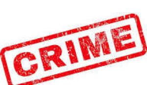 बेमेतरा पुलिस ने जुआ खेलते हुए 236 आरोपियों को किया गिरफ्तार ,लाखों रुपए जप्त