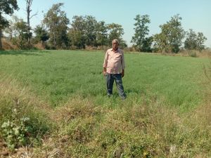  कृषक वामन टिकरिहा डॉ. खूबचंद बघेल कृषक रत्न पुरस्कार हेतु चयनित