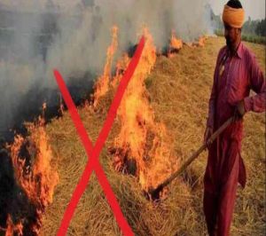 पराली न जलाएं अपनी मिट्टी और सेहत बचाएं पराली न जलाएं अपनी मिट्टी और सेहत बचाएं